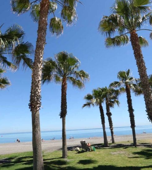Photo of a besch with palm trees in Malaga area of Spain