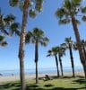 Photo of a besch with palm trees in Malaga area of Spain